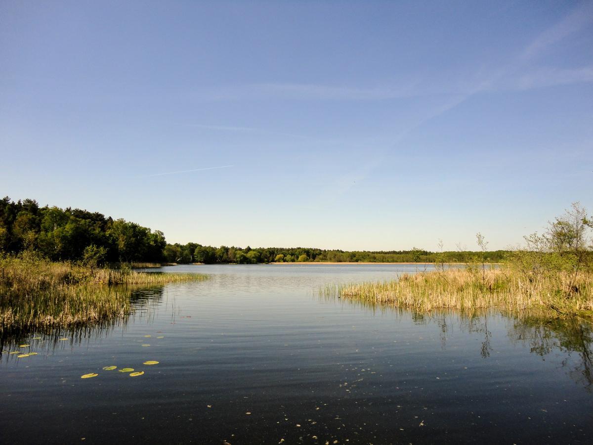 ונדיש ריץ Ferienpark Am Glubigsee מראה חיצוני תמונה
